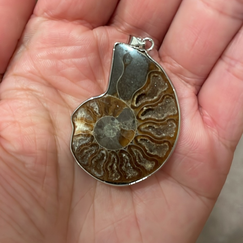 Ammonite Fossil Pendant - NWOT